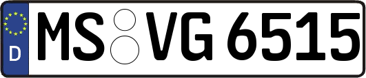 MS-VG6515