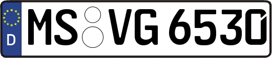 MS-VG6530