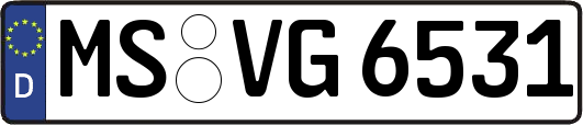 MS-VG6531