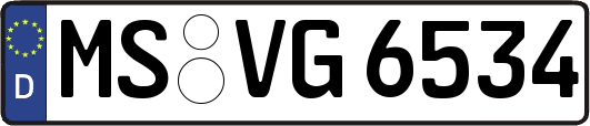 MS-VG6534