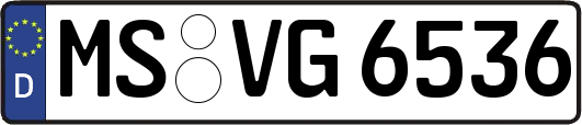 MS-VG6536