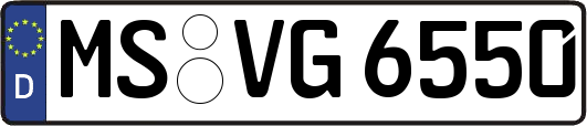 MS-VG6550
