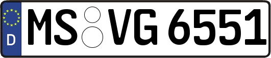 MS-VG6551