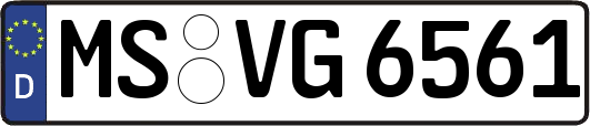 MS-VG6561