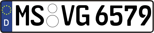 MS-VG6579