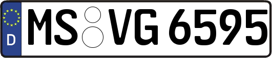 MS-VG6595