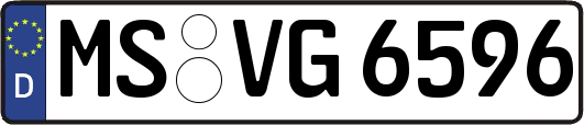 MS-VG6596
