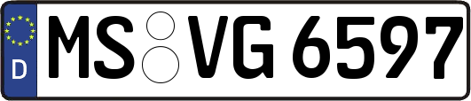 MS-VG6597