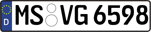 MS-VG6598