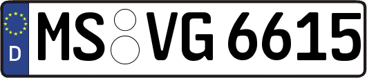 MS-VG6615