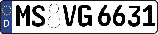 MS-VG6631