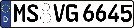MS-VG6645