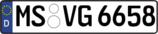 MS-VG6658