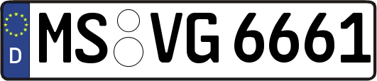 MS-VG6661