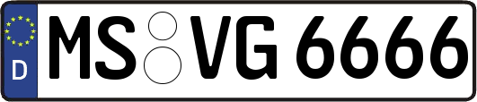 MS-VG6666