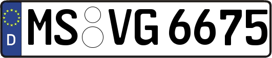 MS-VG6675
