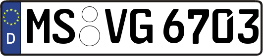 MS-VG6703