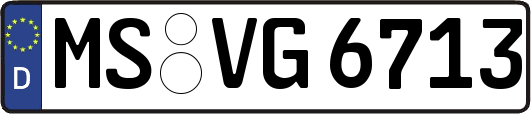 MS-VG6713