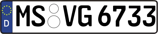 MS-VG6733