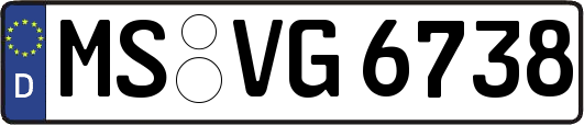 MS-VG6738