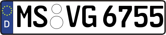 MS-VG6755