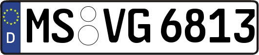 MS-VG6813