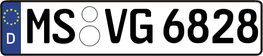 MS-VG6828