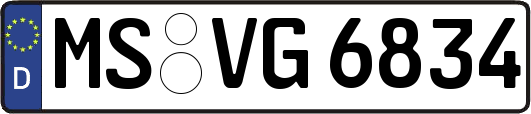 MS-VG6834