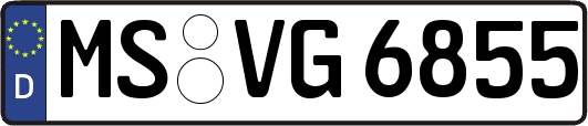 MS-VG6855