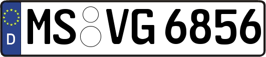 MS-VG6856