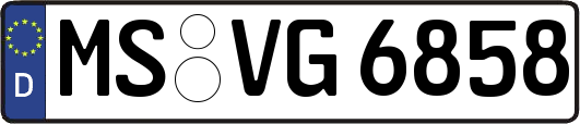 MS-VG6858