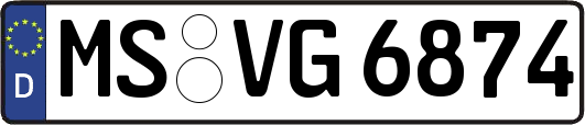MS-VG6874