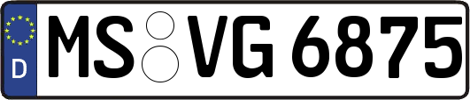 MS-VG6875