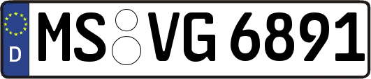 MS-VG6891