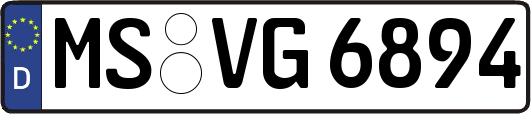 MS-VG6894