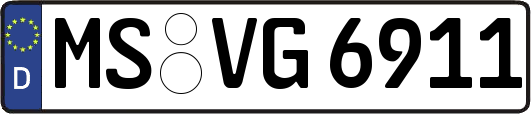 MS-VG6911