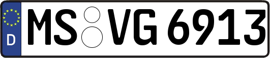 MS-VG6913