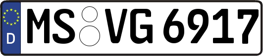 MS-VG6917