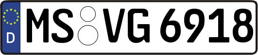 MS-VG6918
