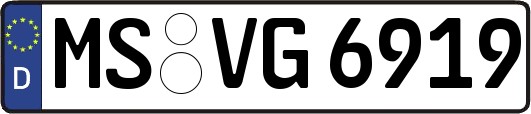 MS-VG6919