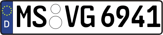MS-VG6941
