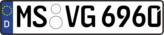 MS-VG6960