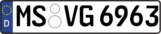 MS-VG6963