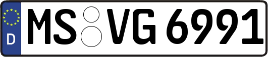 MS-VG6991