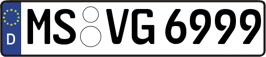 MS-VG6999