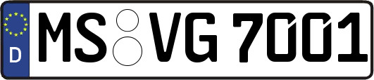 MS-VG7001