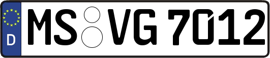 MS-VG7012