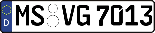 MS-VG7013