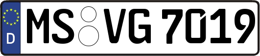 MS-VG7019