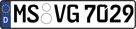 MS-VG7029